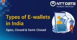 types-of-e-wallets-in-india