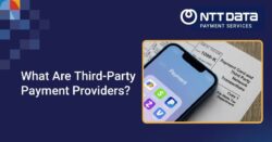 what-are-third-party-payment-providers