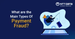 Main Types Of Payment Fraud